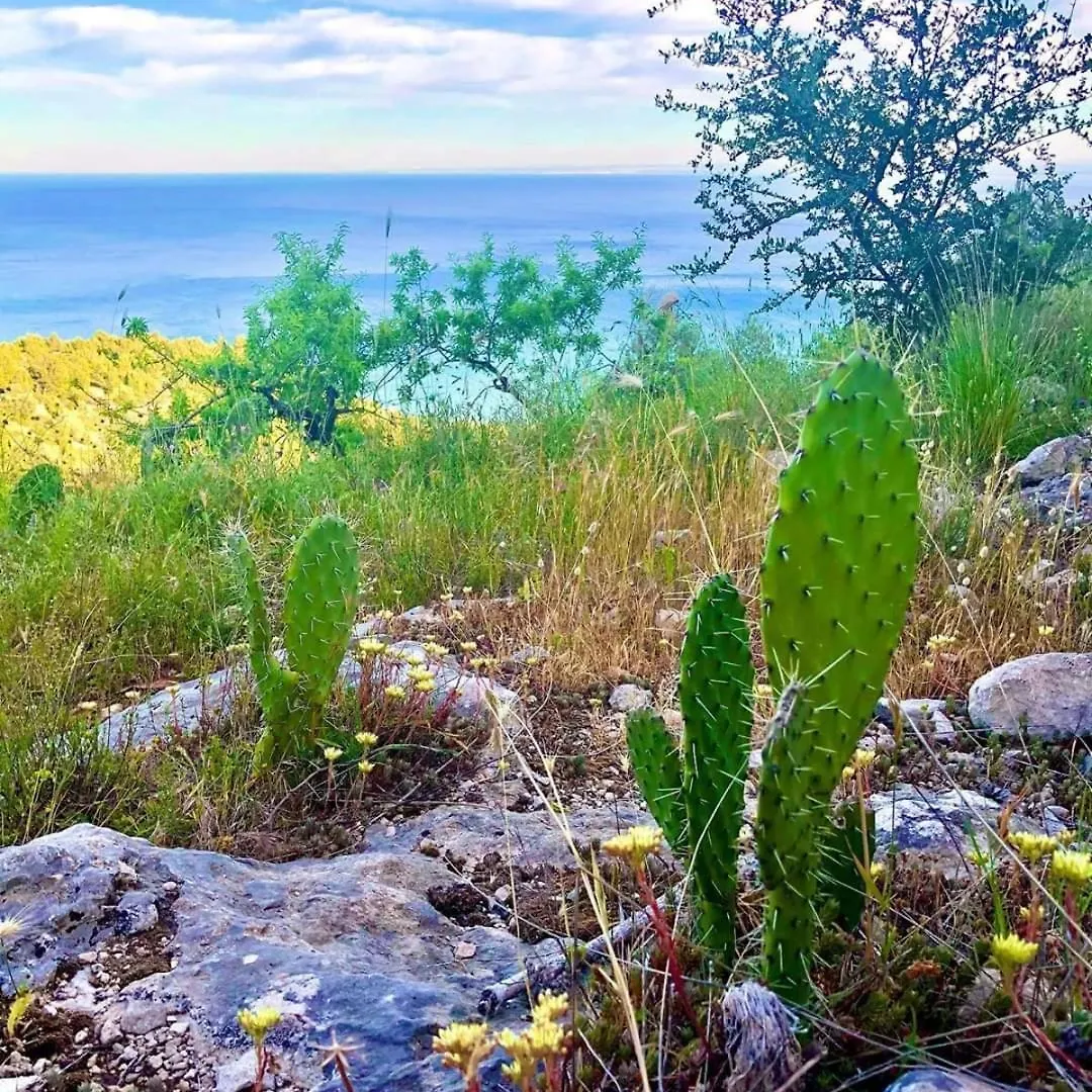 Mediterraneum Bari Italy